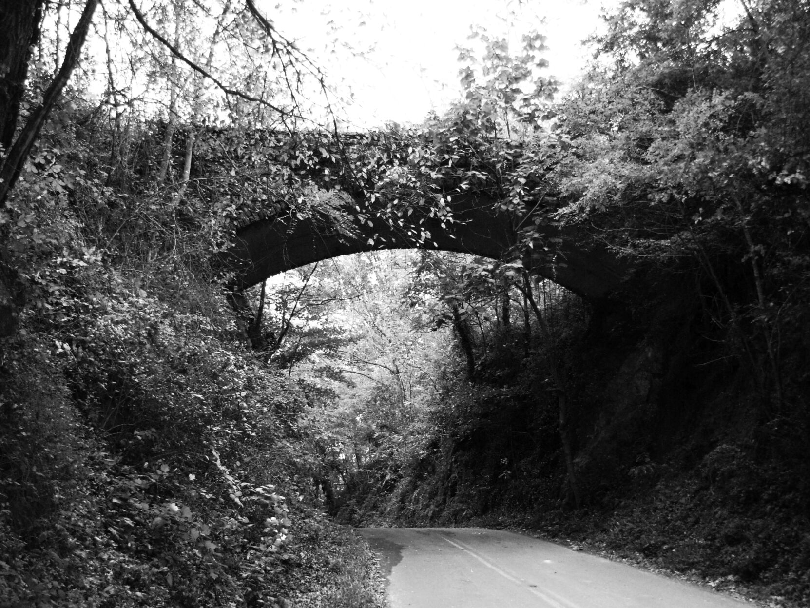 Helen's Bridge